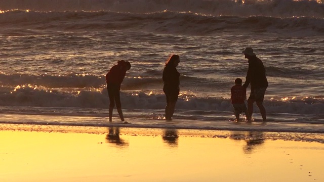 快乐的家庭在海滩玩在晚上视频下载
