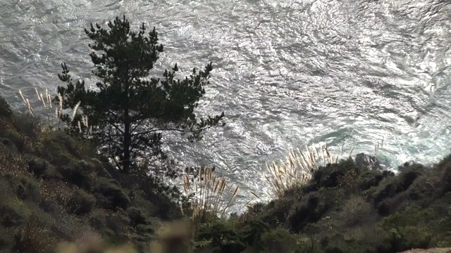 蔚蓝的海浪拍打着草崖视频下载