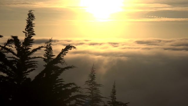 美丽的日落在缓慢流动的云和灌木丛在前景视频下载