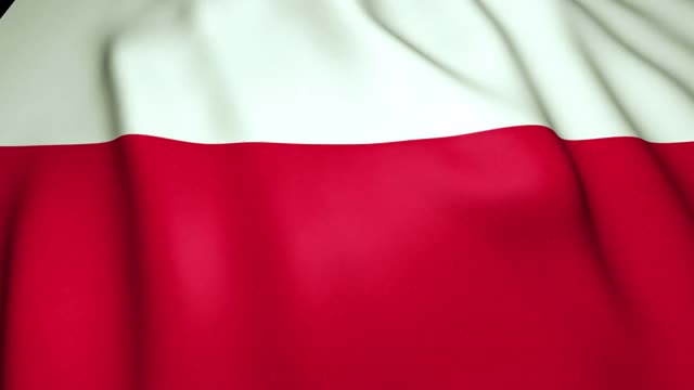 挥舞现实旗帜的波兰循环动画视频素材