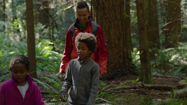 妈妈带着儿子和女儿在森林里徒步旅行视频下载