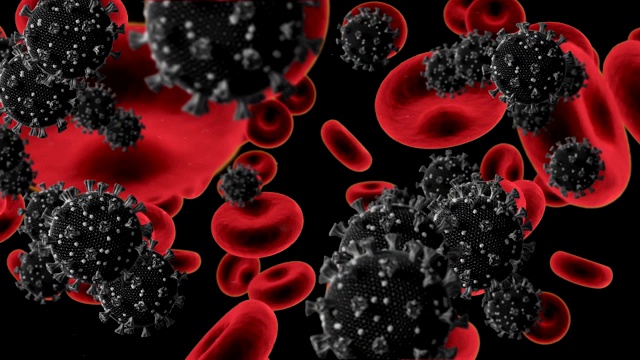 黑色背景下的Covid-19细胞和血管视频下载