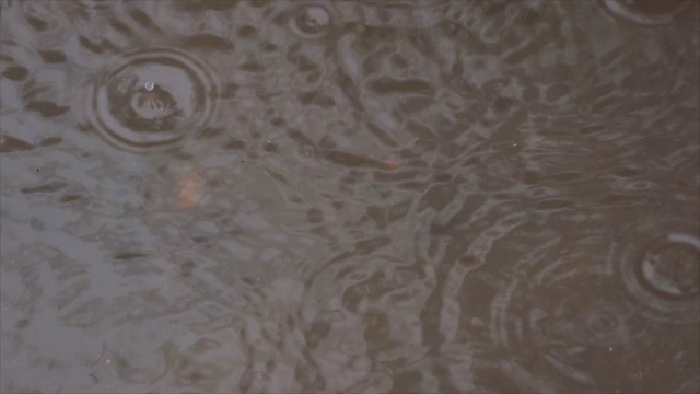 雨滴在水中的涟漪视频下载