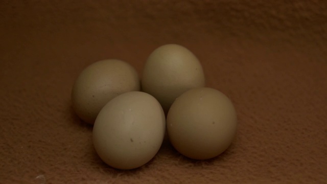 棕色背景的鸡蛋被照亮视频素材