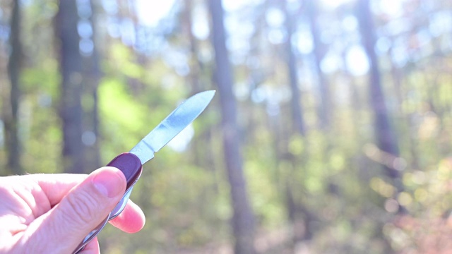 在松林里，一个男人拿着一把美工刀。德国。视频下载