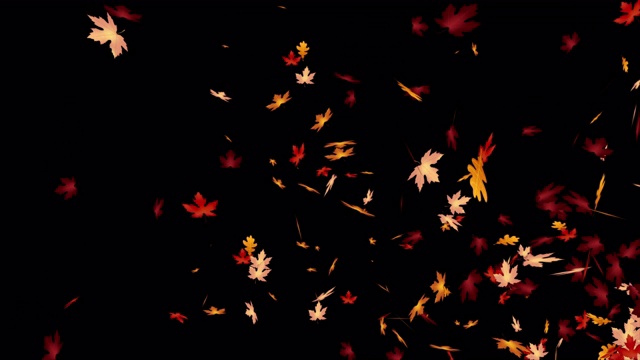 抽象的背景为秋天的概念，落下的枫叶和干燥的叶子，浅景深与模糊的效果视频下载