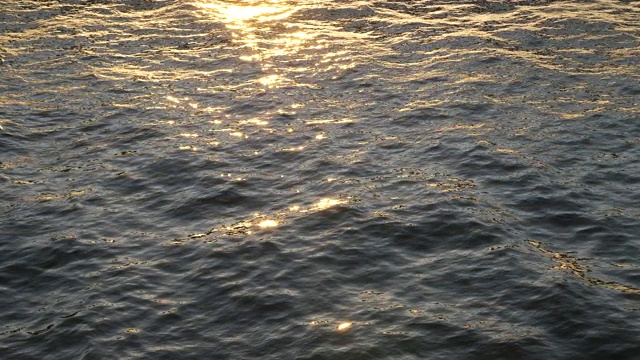 夕阳的金色反射波视频素材