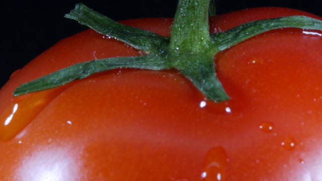 西红柿的宏镜头在4K视频素材