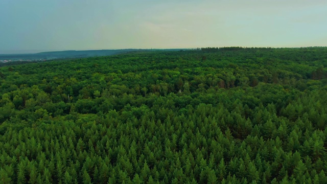 树梢,松林。鸟瞰图。针叶林，森林景观优美。从直升机上看。4 k, 10位,ProRes视频素材
