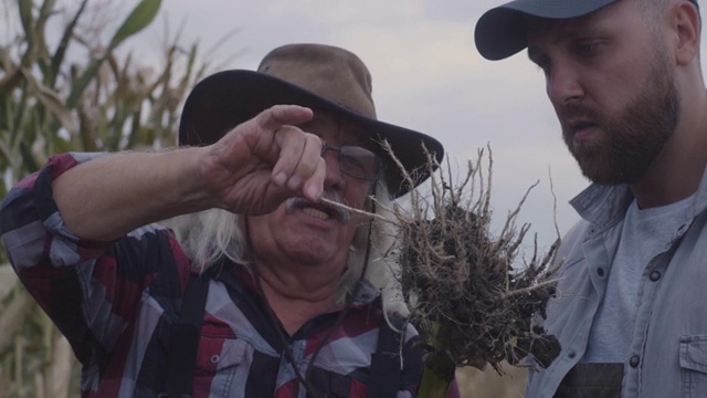 男性农民正在检查植物的根部视频下载