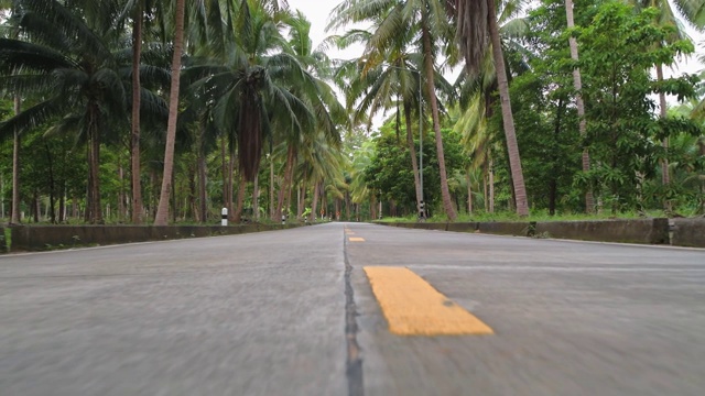 丛林中干净的柏油路。在一个晴朗的夏日，一条穿过雨林的废弃道路。慢镜头沿着路面行驶。还有黄色的路标。视频下载