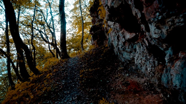 沿着森林小径沿着悬崖散步。摄像机从第一个人那里拍摄。视频素材