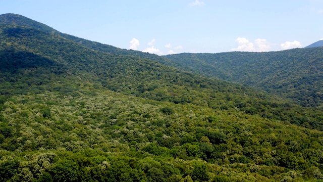 飞行在一个被茂密的森林覆盖的广阔山区视频素材