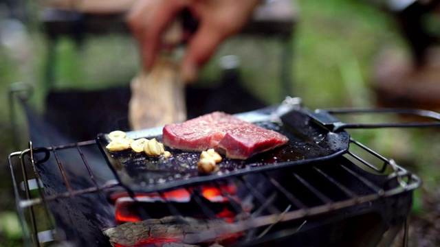 一个人在篝火上烹饪肉的特写镜头视频素材