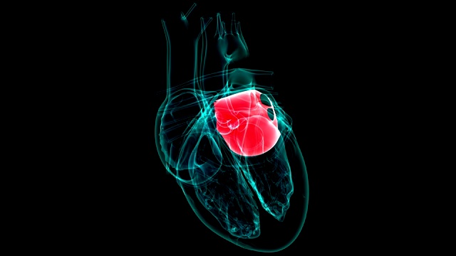 心脏解剖右心房医学概念3D视频下载