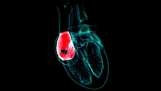 心脏解剖左心房医学概念3D视频下载