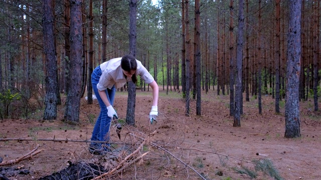 在森林露营的年轻女子用斧头砍树枝当柴火。视频下载