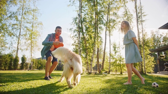 美丽的四口之家在后院草坪上和快乐的金毛猎犬踢足球。田园诗般的家庭与忠诚的纯种狗狗在户外避暑别墅的乐趣。地面手持拍摄视频素材