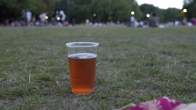 黄昏时分在草地上喝两品脱啤酒视频素材