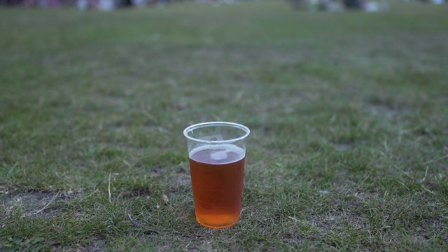 黄昏时分在草地上喝两品脱啤酒视频素材