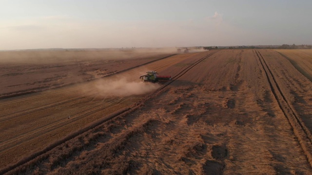 航拍:日落时分，在收割小麦的联合收割机周围飞行。精彩的夏日4K拍摄视频素材