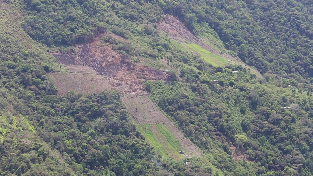 玻利维亚科伊罗卡附近的热带山地森林，由于农业用途而被砍伐。视频素材