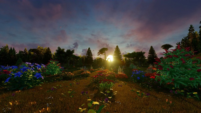 美丽的花园，鲜花，猴面包树和棕榈树在日落时间视频下载