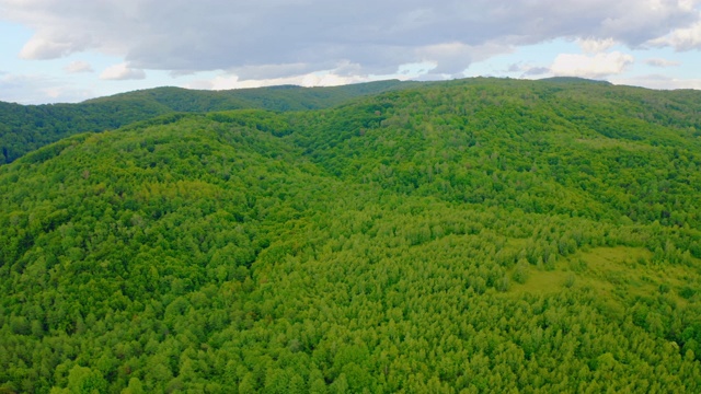 高原绿色森林鸟瞰图视频素材