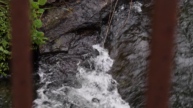 水在溪中流动，动作缓慢视频素材