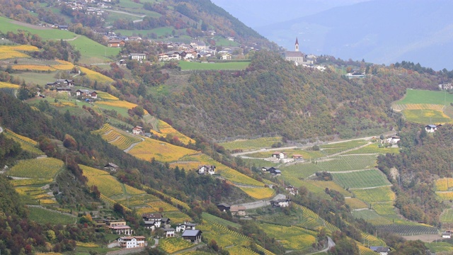 意大利基萨附近的伊萨尔科山谷葡萄园中的秋色。视频素材