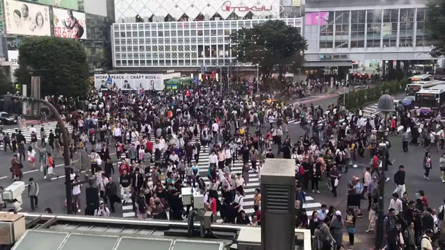 东京涩谷,视频素材