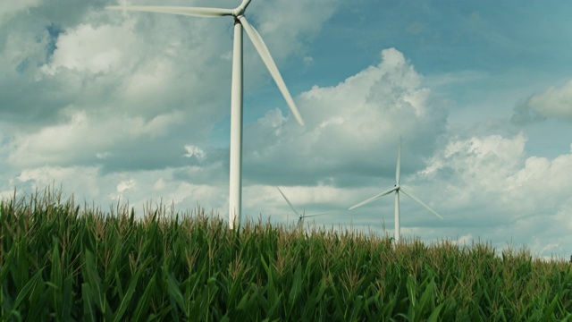 上升无人机拍摄的风力涡轮机在玉米田视频素材