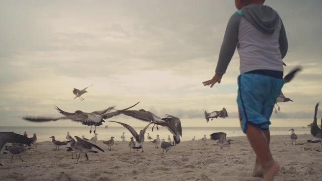 那不勒斯海滩上追逐海鸥的男孩视频下载