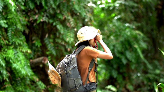 亚洲女性游客在热带森林旅行和冒险。视频素材