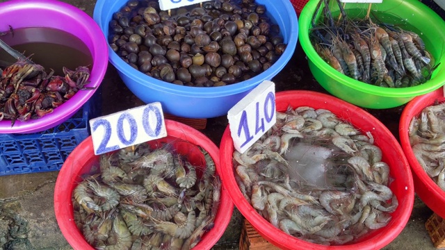 越南市场上出售的虾和蜗牛视频下载