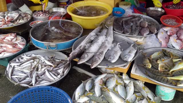 越南鱼市出售的海鲜视频下载
