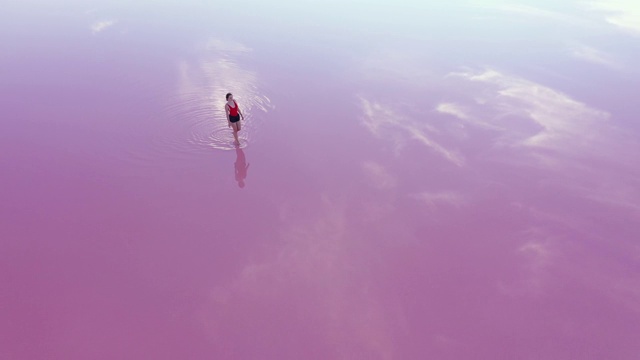 一名女子在乌克兰的粉红色盐湖上行走的鸟瞰图视频下载