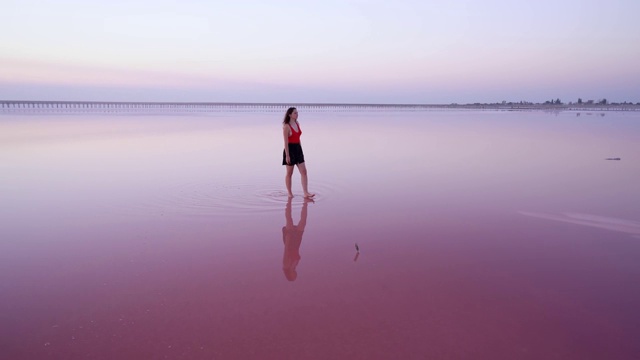 一名女子走在乌克兰的粉色盐湖上视频素材