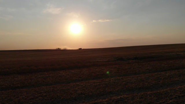 在夏天日落的时候从田野里收割。许多联合收割机在收割小麦。空中无人机视图。4 k视频素材