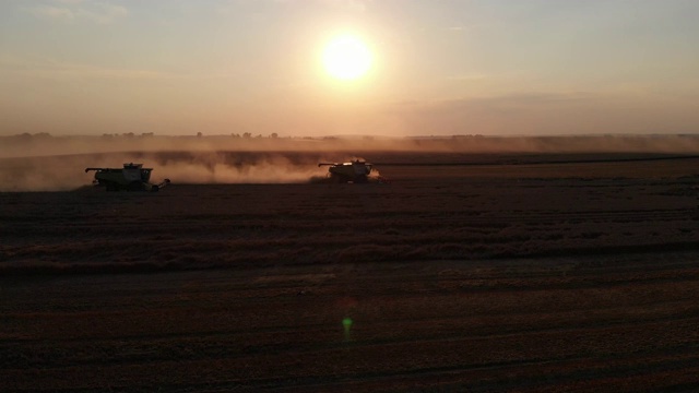 在夏天日落的时候从田野里收割。许多联合收割机在收割小麦。空中无人机视图。4 k视频素材