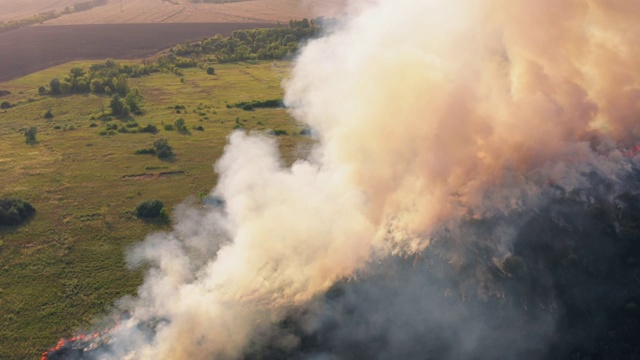 烟云之上干燥燃烧的田野，自然灾害野火。用火燃烧大自然，鸟瞰图视频素材