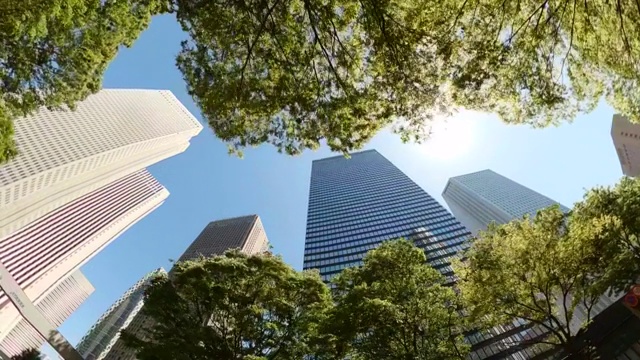开车穿过城市中的摩天大楼。仰望摩天大楼和绿树。视频下载