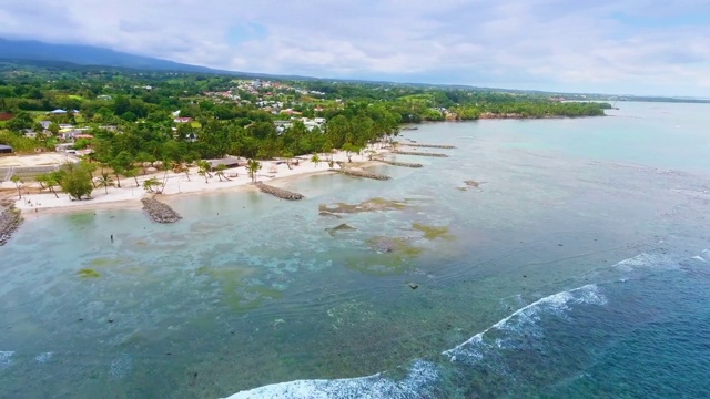 鸟瞰图的海滩与棕榈树视频下载
