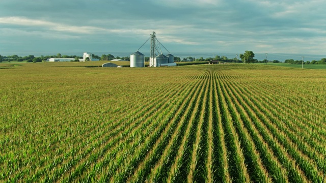 俄亥俄州玉米田和谷物升降机-天线视频素材