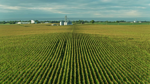俄亥俄州农场的玉米生产线——无人机拍摄视频下载