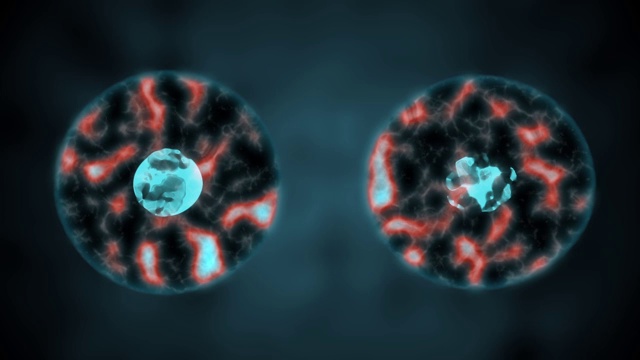 二分裂细胞的运动视频下载