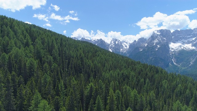 森林和白云石/意大利阿尔卑斯山，意大利视频素材