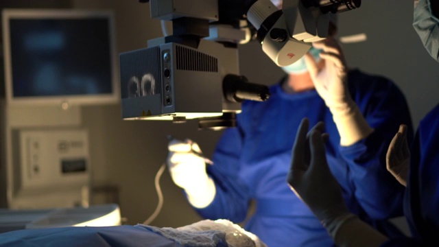 做眼科手术的外科医生视频下载