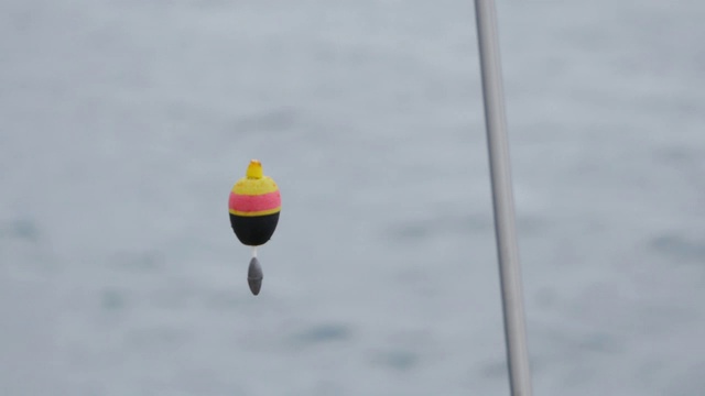 钓鱼漂在空中视频下载