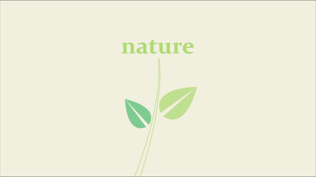 树叶和绿色的图标，抽象的象征视频下载